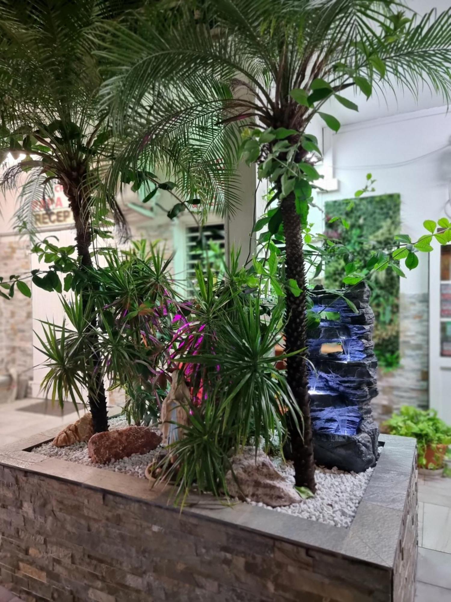 Hotel Chez Papa Daya 圣皮埃尔 外观 照片